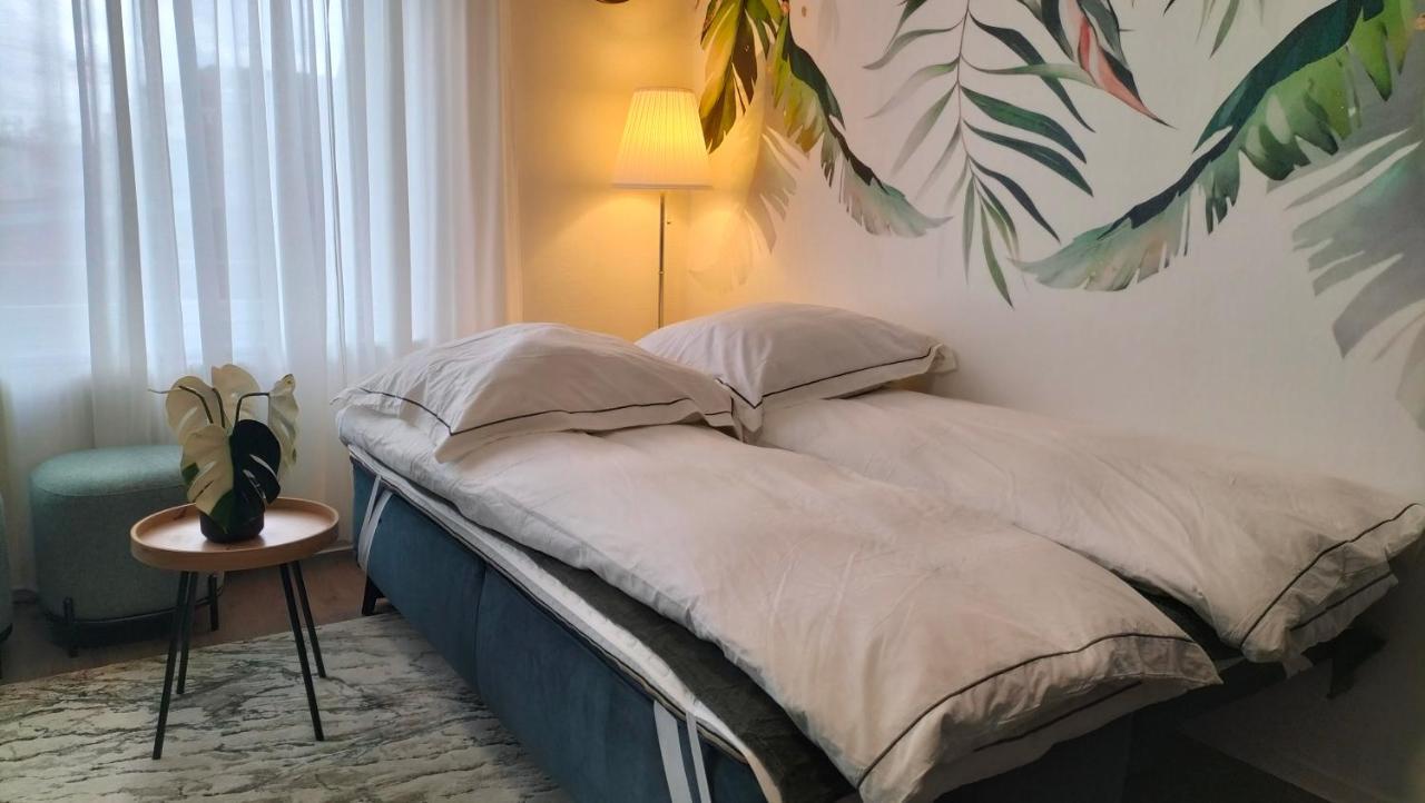King Bed 4 People Near Basel, Switzerland, Weil Am Rhein, Loerrach, Germ'Any, Near Airport Apartment Saint-Louis  Exterior photo